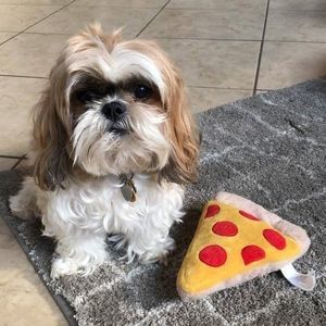 Meet your Posher, Fabiola